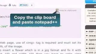 HTML Tutorial :  img tag