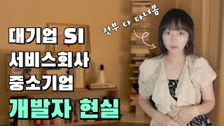 대기업 SI vs 서비스회사 vs 중소기업 개발자 현실