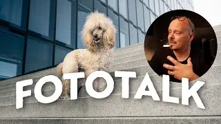 GZB Hundefotografie Talk#-001 - Hundeportrait Medienhafen