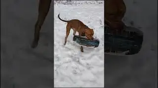 Ах ты вот как ?