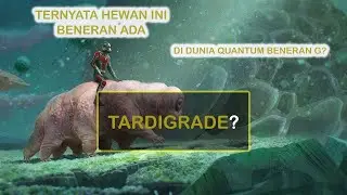 10 Fakta Unik Tentang Hewan Paling Tangguh di Dunia : Tardigrade