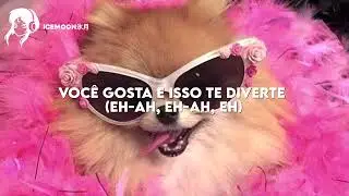 somo amigue o no somo amigue? 🤔 // (TIKTOK SONG) // tav lust - amigue  (tradução/legendado)