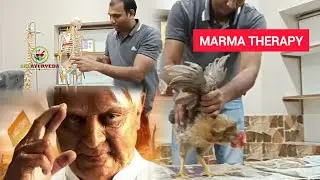 Kalari marma gurukulum kolkata training