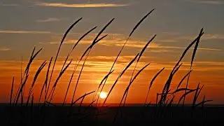 Blue & Elton John - Sorry Seems To Be The Hardest Word