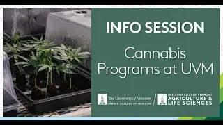 Take Your Cannabis Knowledge to the Next Level, Plus Learn About Psilocybin w UVM Cannabis Programs.