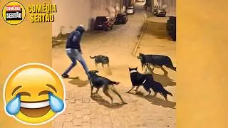 Vídeos ENGRAÇADOS 2024 - Tente Não Rir Memes