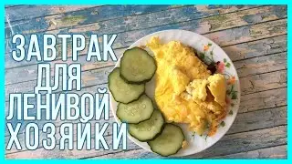 Простой быстрый завтрак - ленивая хозяйка