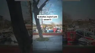 Padişaha sormuşlar… #arkadaş #güzelsözler