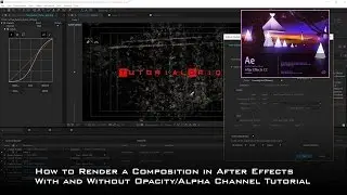 How to Render a Composition in After Effects With and Without Opacity/Alpha Channel Tutorial