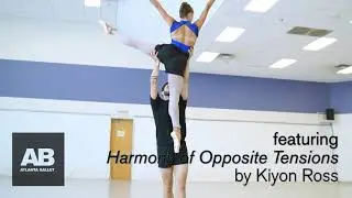 Harmony of Opposite Tensions Preview
