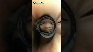 plis suscribe dong