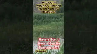 2 сентября 2024 г.
