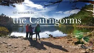 60 Seconds in the Cairngorms
