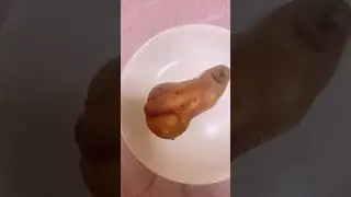 Sweet Potato #food #natureplants #shortsvideo #youtubeshorts #shortsviral