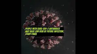 People with SARS CoV 2 antibodies may have low risk of future infection, study finds