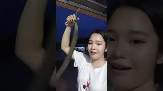 กินได้ด้วยหรอเนี่ย⁉️