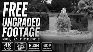 Free Ungraded Footage Slog3, +1.5 EV Overexposed, 4k All Intra 422 10bit, H.264, HQ export, 60p