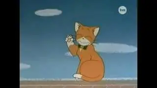 Mikan - pomarańczowy kot PL