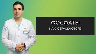 Фосфатные камни: как образуются?