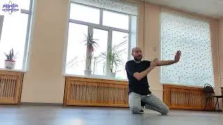 Turtle freeze / Сricket - Tutorial / Обучение / Видео урок