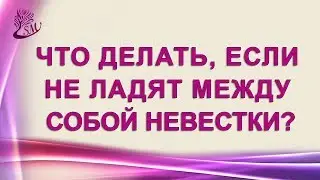 Проблема взаимоотношений. Что делать, если не ладят между собой невестки. Сложные взаимоотношения.