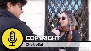 CheNeSai | COPYRIGHT