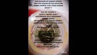 ALEGOR - NE SANDIN