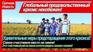 [Russian 러시아어] Doаlnara Oasis Farm/Самое счастливое место на Земле