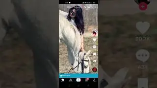 TikTok Videos 