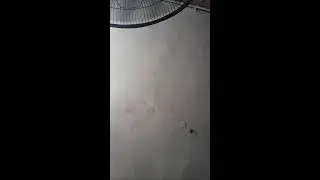 Сули Сайкуев в прямом эфире!