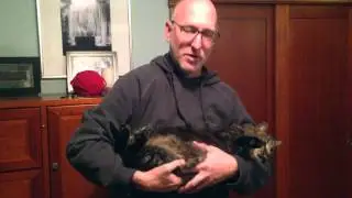 Timpano Comes Home