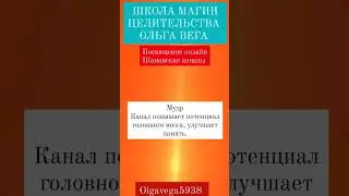 Мудр Шаманский канал Посвящение онлайн 
