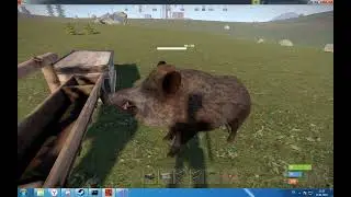 RUST OXIDE | MyAnimalFarm v1.0.0