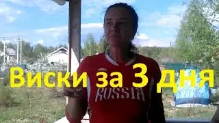 Виски за 3 дня.