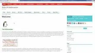Windows 7 Google Chrome Extensions