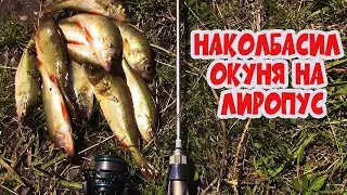 Это мормышинг или наноджиг?! А мне по БАРАБАНУ главное ЛОВИТ! :) Dayo Liropus.