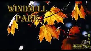4K, DUNGANNON SQUIRRELS IN WINDMILL PARK`APRIL 2020. EPISODE-4