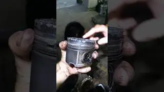 Залетів хрущ в БЕХУ (майский жук)