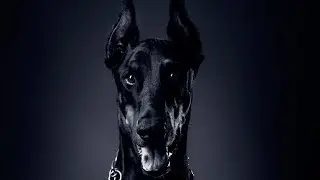 ЛУЧШИЙ ПЁС-ЗАЩИТНИК