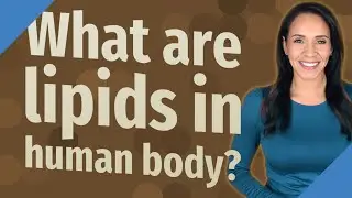 What are lipids in human body?
