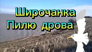 #ЕЙСК