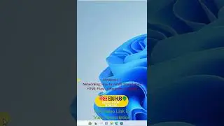 Windows 11 Networking: How to Install IIS - A Beginner's Tutorial  