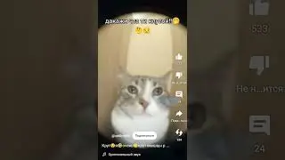 мыжцы растут аааапппп