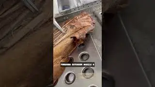Forearm extensor muscle II #3  | Anatomy Upper Limb | #mbbs #neet #viral #shorts #shortfeed