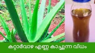 മുടി തഴച്ചു വളരാനും താരൻ അകറ്റാനും കറ്റാർവാഴ എണ്ണ ഇങ്ങനെ കാച്ചി നോക്കൂ ||Homemade Aloevera Hair Oil
