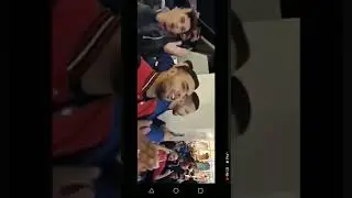 الجمهور الجزائري يشجع في الفريق المغربي@