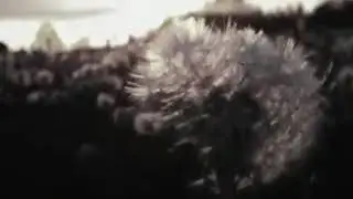 Не надо не кому, не чего доказывать
