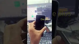 one plus n20 (cph2469) 