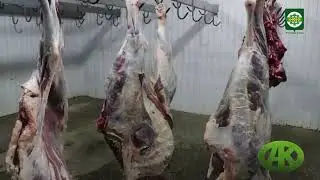 В городском округе город Аргун провели религиозный обряд саг1а.