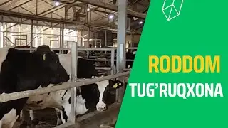 Tug’ruqxona-RODDOM qanday bo’lishi kerak?!